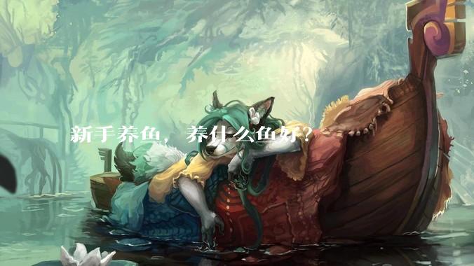 新手养鱼,养什么鱼好?