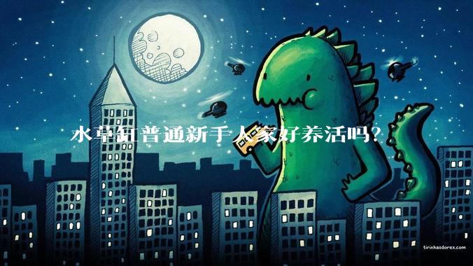 水草缸普通新手人家好养活吗?