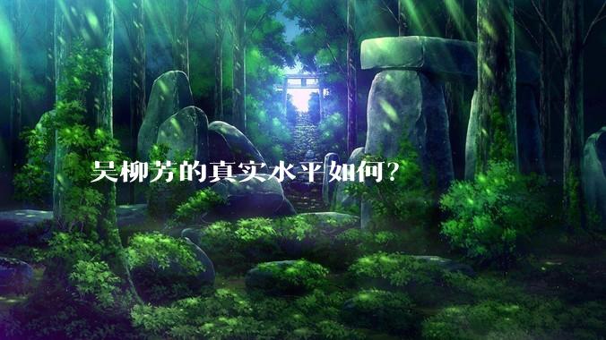 吴柳芳的真实水平如何?