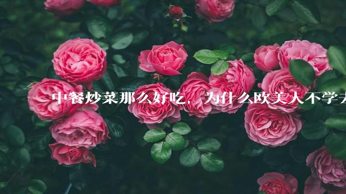 中餐炒菜那么好吃,为什么欧美人不学去?